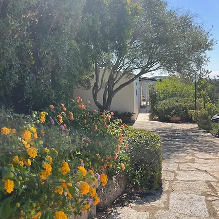 New Casa Singola Costa Smeralda-porto Cervo-pevero Feriehus Porto Cervo