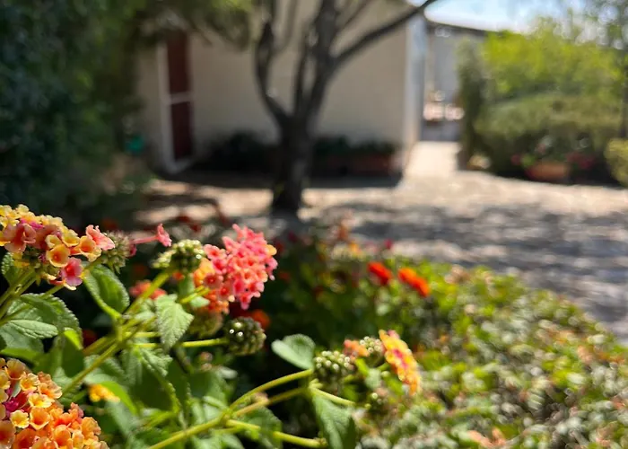 New Casa Singola Costa Smeralda-porto Cervo-pevero Порто-Черво