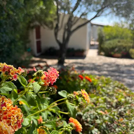 New Casa Singola Costa Smeralda-porto Cervo-pevero Porto Cervo