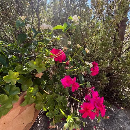 New Casa Singola Costa Smeralda-porto Cervo-pevero Ferienhaus Porto Cervo