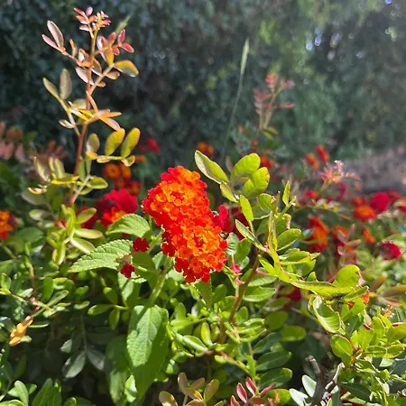 New Casa Singola Costa Smeralda-porto Cervo-pevero *